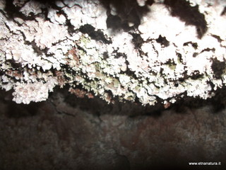 Grotta degli Archi